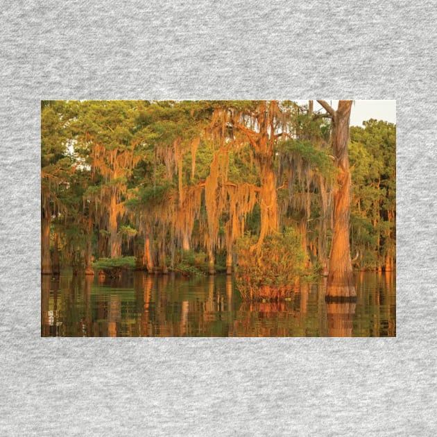 Atchafalaya National Wildlife Refuge Sunrise On Swamp by HammiltenJohn